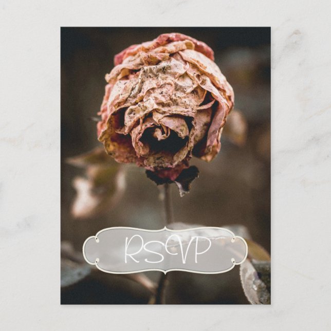 Divorce Party Invitation RSVP with Photo Postcard (Front)