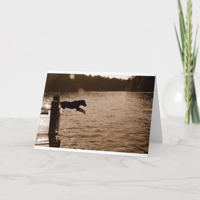 Dixie jumping from dock card (Front)