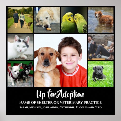 DIY 9 photo  Adopt animal shelter veterinary vet Poster