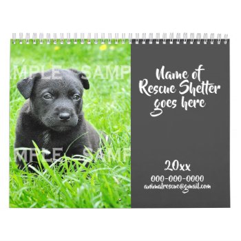Diy Animal Rescue Photo Fundraising Charity Year Calendar by petcherishedangels at Zazzle