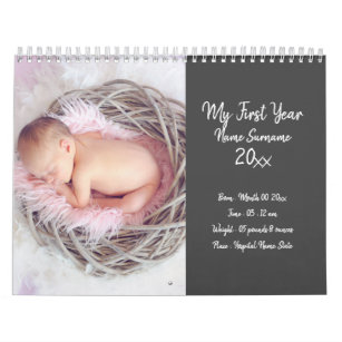 DIY baby photo first year new parents picture chic Calendar
