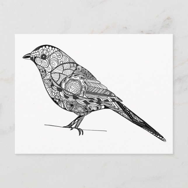 DIY coloring in bird line-art pattern Postcard (Front)
