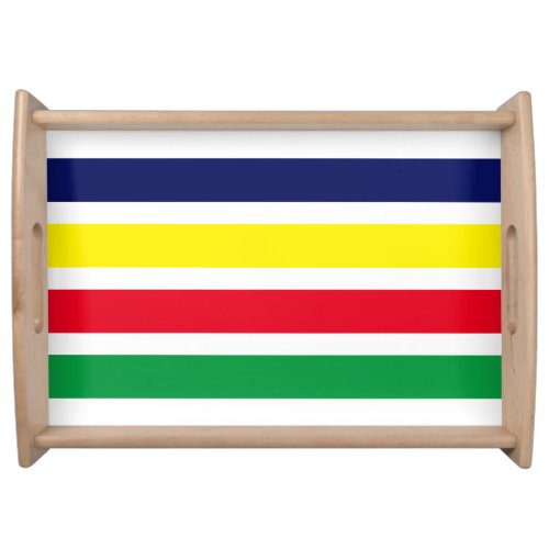 DIY Colors 4 Stripe Red Blue Yellow Green White Serving Tray