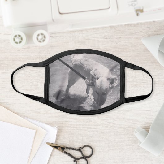 DIY custom dog photo face mask (Insitu)
