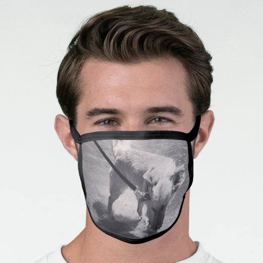 DIY custom dog photo face mask (Worn Him)