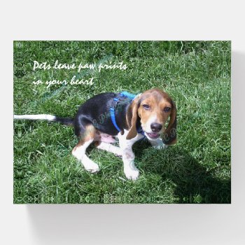 Diy Custom Dog Photo Paperweight With Quote by ArianeC at Zazzle