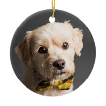 DIY Custom Photo Christmas