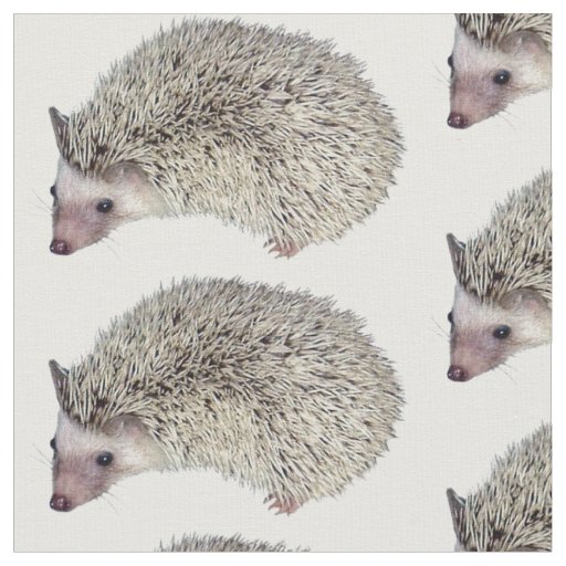 DIY Hedgehog cloth