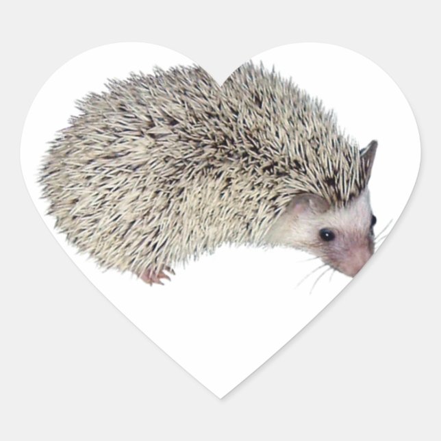 DIY Hedgehog right Heart Sticker (Front)