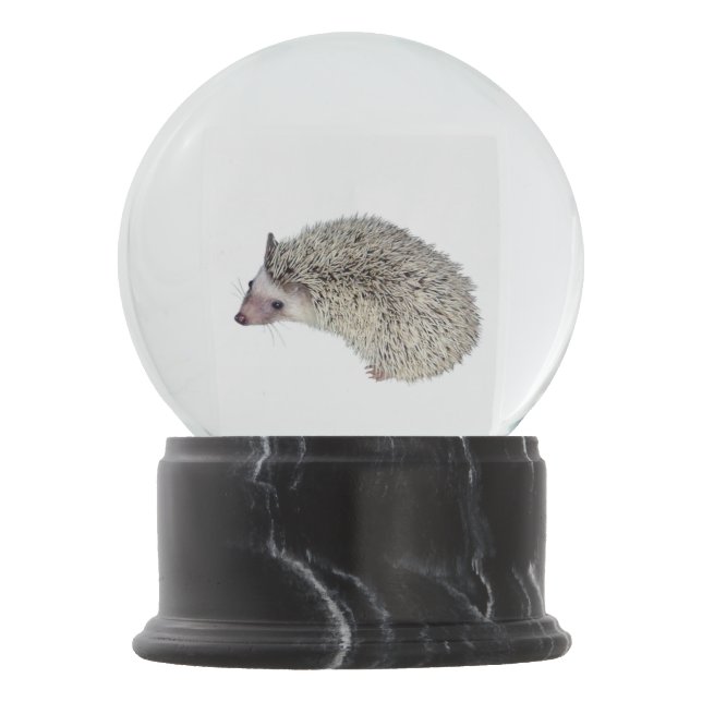 DIY Hedgehog snow globe (Front)