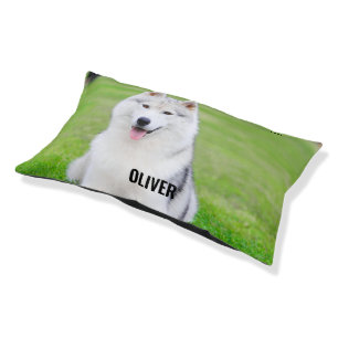 DIY Pet Bed   Custom Photo and Name Dog or Cat Bed