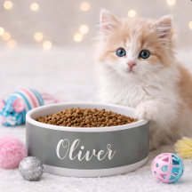 DIY Pet Bowl | Custom Name, Color, Text