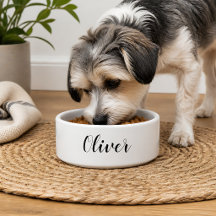 DIY Pet Bowl | Custom Name, Color, Text