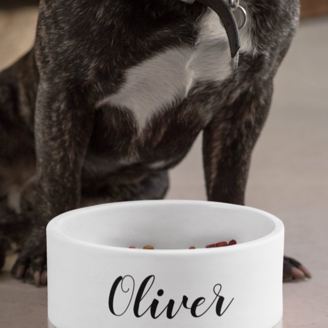 DIY Pet Bowl | Custom Name, Color, Text (Creator Uploaded)