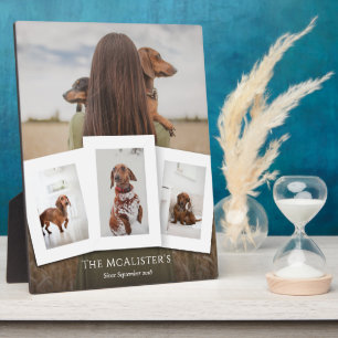 DIY Pet Four Photo Collage Plaque