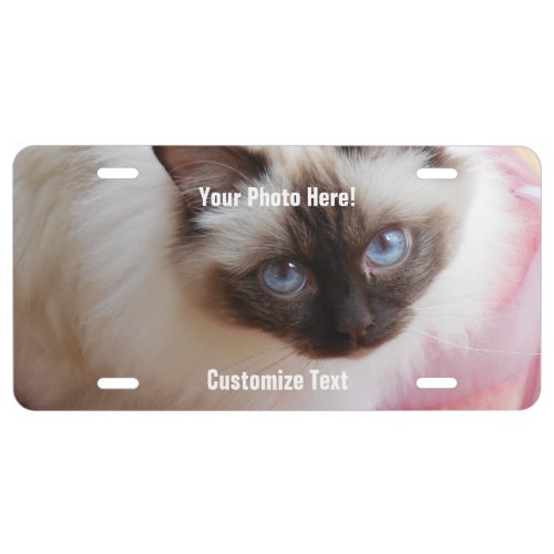DIY Pet Photo  Message or Baby Photo License Plate