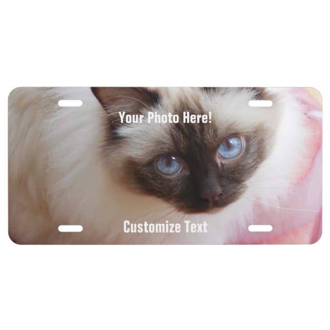 DIY Pet Photo & Message, or Baby Photo License Plate (Front)