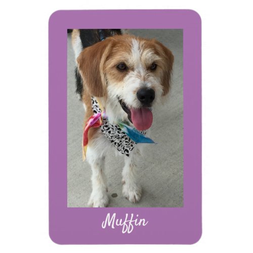 DIY Pets Photo or Childs Photo  Name Lavender Magnet