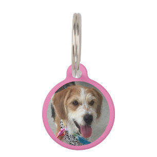 DIY Photo in Circle, Name & Info, Pink Pet ID Tag