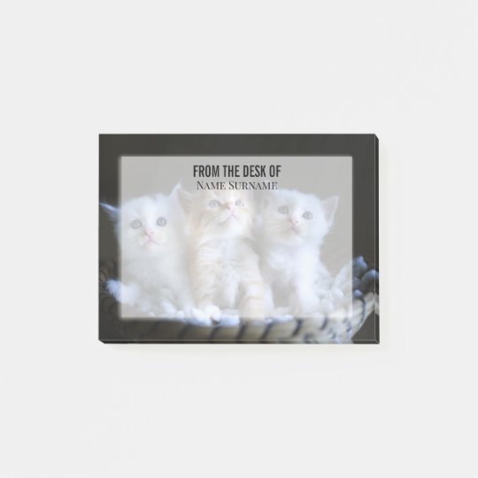 Diy Photo Kittens In Basket Cute Cat Lovers Post It Notes Zazzle Com