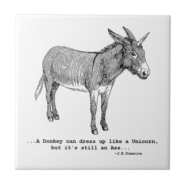 DIY UnicornDonkey ver1 Ceramic Tile (Front)