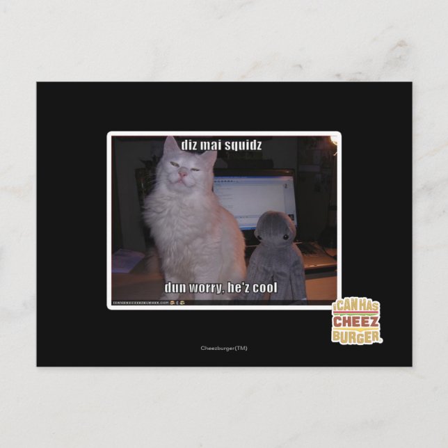 diz mai squidz postcard (Front)