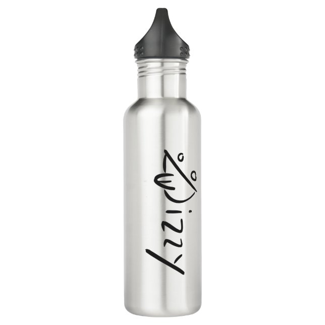 Dizzy  stainless steel water bottle (Left)