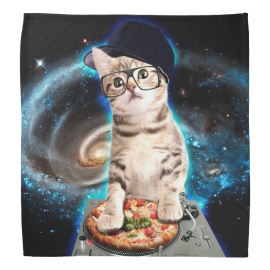 dj cat space cat cat pizza cute cats bandana