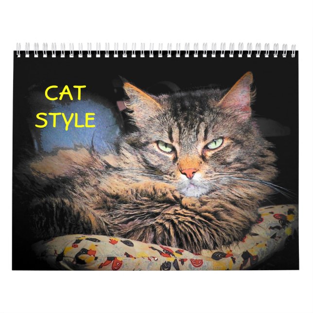 DJ's Cat Style 2 Calendar (Cover)