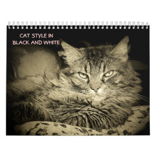 DJ's Cat Style in Black and White Calendar