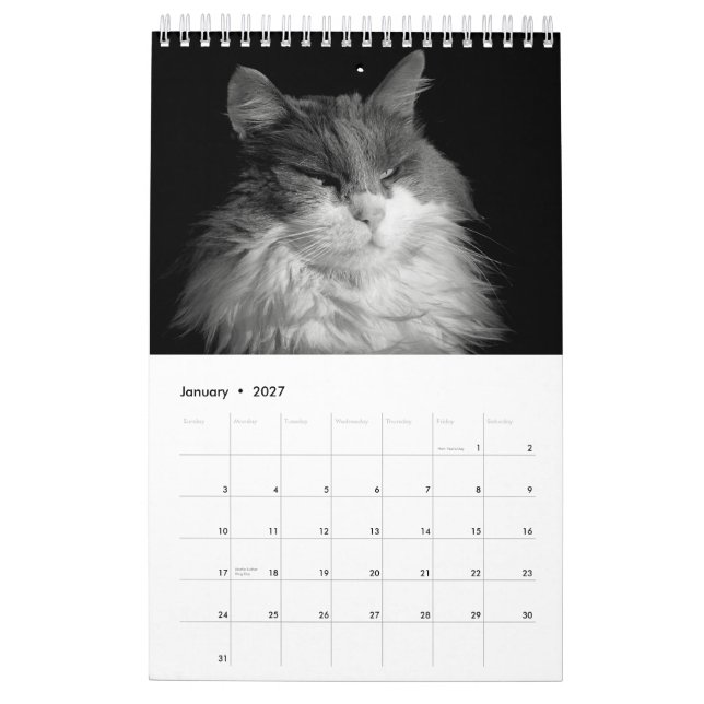 DJ's Cats One Page Calendar (Jan 2027)