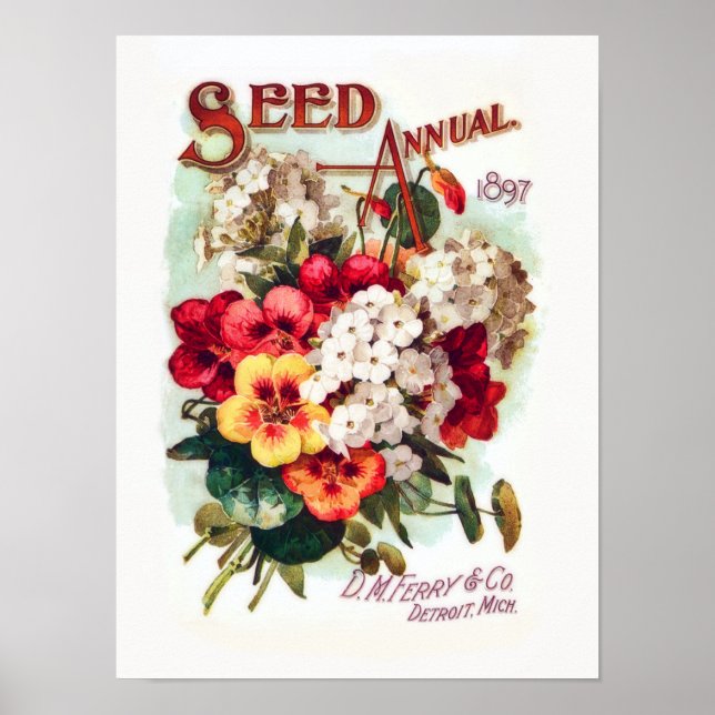 DM Ferry Flower Seeds Vintage Advertisement Poster (Front)