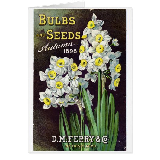 DM Ferry Seeds and Bulbs 1898 Cards (Front)