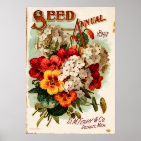 Dm Ferry Vintage Flower Catalog Advertisement Poster