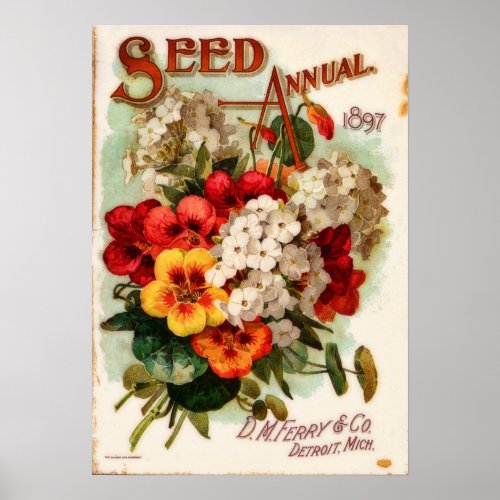 DM Ferry Vintage Flower Catalog Advertisement Poster