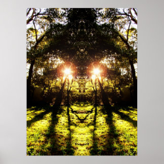 DMT 'AURUS Forest Poster
