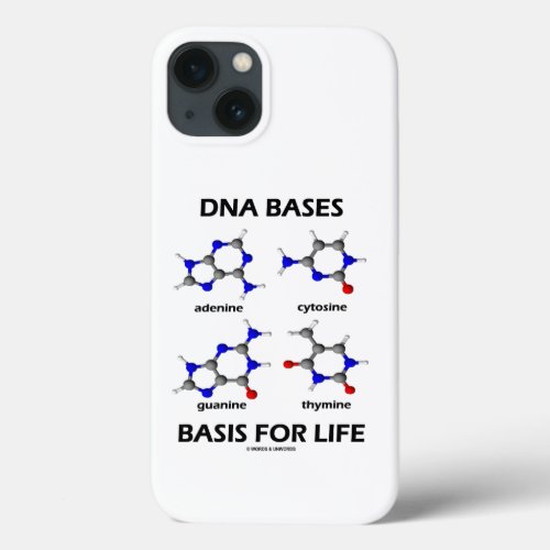 DNA Bases Basis For Life Molecular Structure iPhone 13 Case