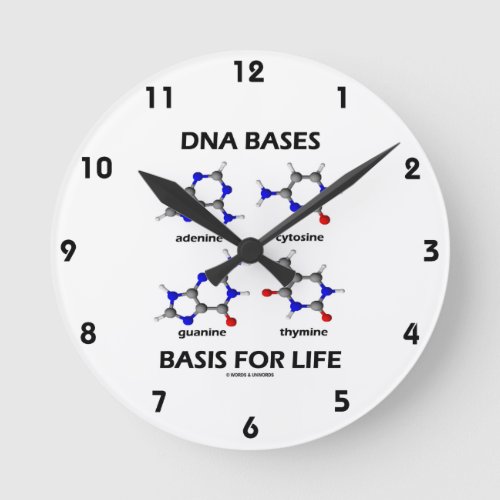 DNA Bases Basis For Life Molecular Structure Round Clock