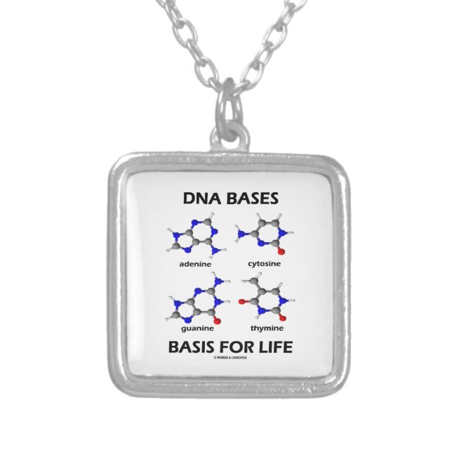 DNA Bases Basis For Life (Molecular Structure) Silver Plated Necklace (Front)