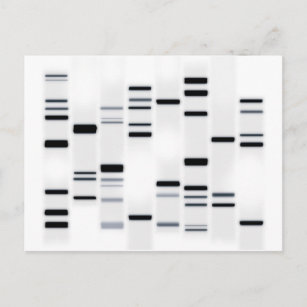 DNA Code Art Black on White Postcard