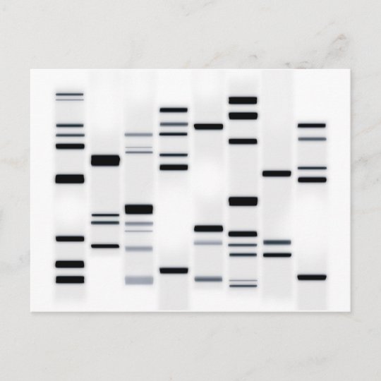 DNA Code Art Black on White Postcard | Zazzle.com