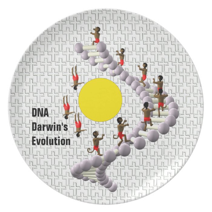 DNA Darwin's Evolution Dinner Plates