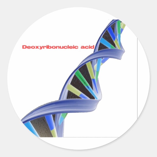 DNA - Deoxyribonucleic acid Classic Round Sticker (Front)
