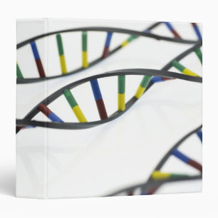 DNA (deoxyribonucleic acid) molecules. 3 Ring Binder
