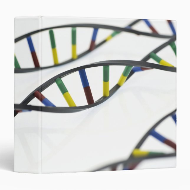 DNA (deoxyribonucleic acid) molecules. 3 Ring Binder (Front/Spine)