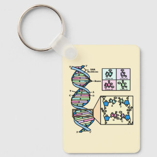 DNA Diagram Keychain