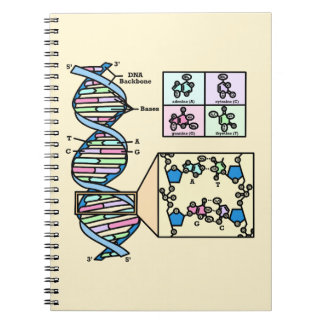 DNA Diagram Notebook