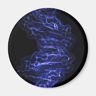 DNA Double Helix fridge magnet