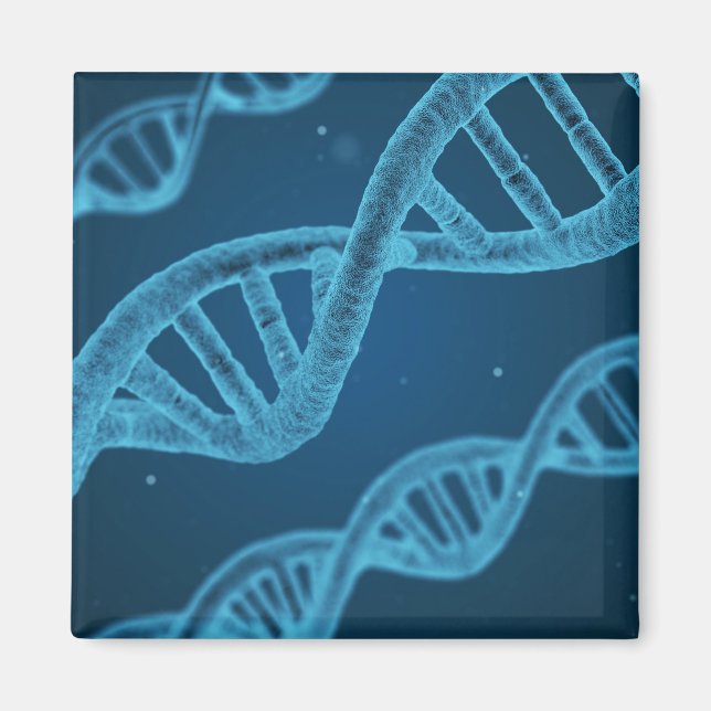 DNA Double Helix Magnet (Front)