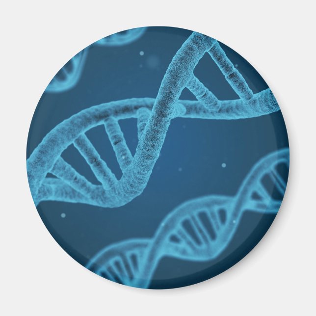 DNA Double Helix Magnet (Front)